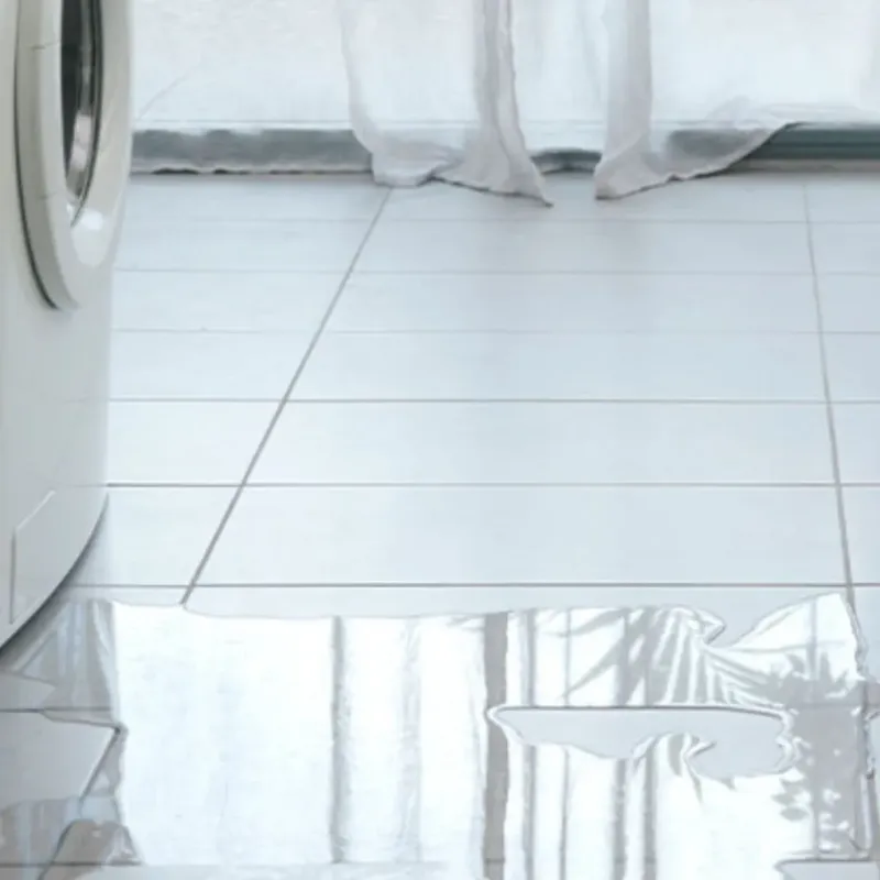 Appliance Leak Cleanup in Western Springs, IL